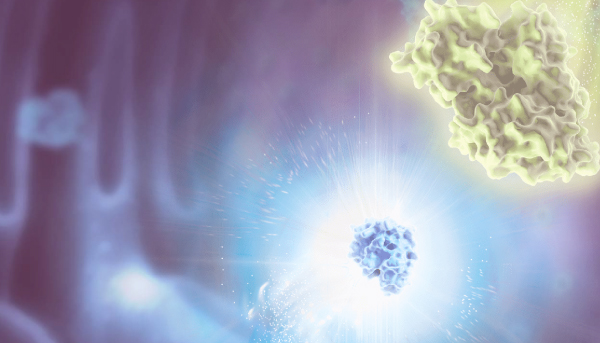 50845545-nanoluc-addres-tiles-320x290-1