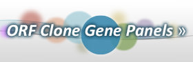 ORF Clone Gene Panels