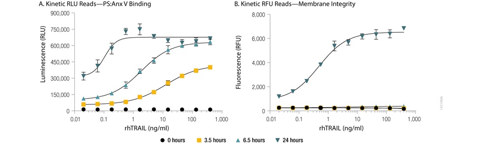 PS:Annexin V Binding