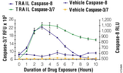 Multiplexing luminescent caspase-8 and fluorescent caspase-3/7 assays.