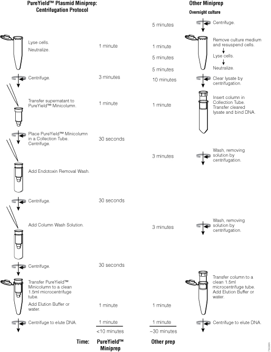 DNA Purification DNA Extraction Methods Promega
