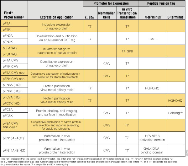 Cloning An Introduction to Molecular Cloning Methods Promega