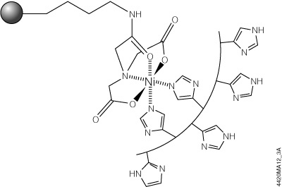 Protein Purification and Analysis